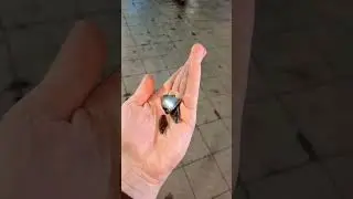 Что это было в поддоне двигателя?