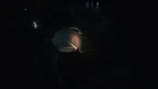 Resident Evil 2 REmake '1 shot demo'