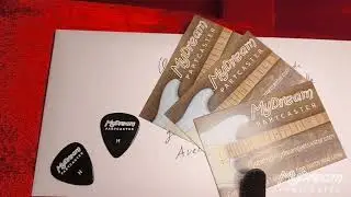 MyDream Partcaster Custom Built - Aztec Gold Tortoise SH-4 FS-1