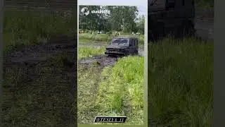 ГЕЛИК В БОЛОТЕ! правильная Эксплуатация!💪😎 