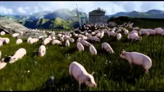 Pigs Galore