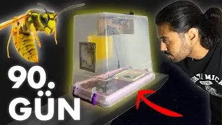 Keeping Wild Bees at Home | Part 3 | 60-90 Days