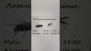 Москитные сетки в Могилеве. Изготовление и ремонт. Точный Ход.