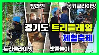 경기도 트리플레잉 체험축제