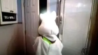 Jersey Shore! Snooki & The Bunny Suit! Hilarious!