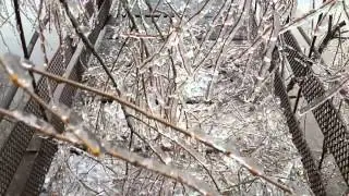 Гиагинская. Ледяной период! 21.01.2014!