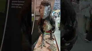 Ископаемый динозавр из Забайкалья.