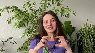 1O: Propagation Methods | Houseplant Guide for Beginners | PLANT CRASH COURSE