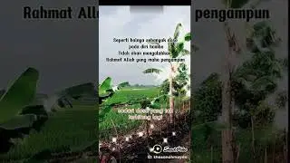 TAUBATAN NASUHA (hambamu yang banyak dosa)