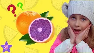 Волшебный сад