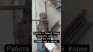 РАБОТА В ЮЖНОЙ КОРЕЕ 2024  