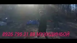 тожикистонга срочна йк жунатмокчи акаларимиз