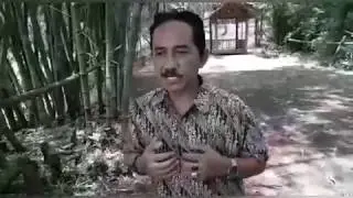 Orang Cari Jimat Sakti Di Bawah Pohon Bambu || Tertangkap Basah
