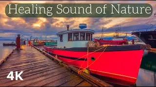 Healing Power of Meditation and the Sound of Nature for Better Health | Lake District 4K