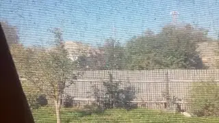 Процесс Идет...Обрезка Сада