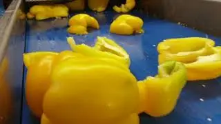 Bell pepper decoring and cutting PDS4L