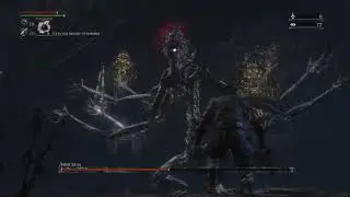Bloodborne. Амигдала в подземелье. Проклятая и оскверненная чаша.