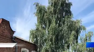 Гороскоп на 4 сентября Астролог Андрей Рязанцев