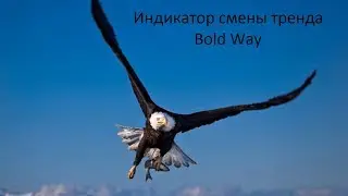 Индикатор Bold Way и Bogomol