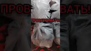 НИКОГДА ТАК НЕ ДЕЛАЙТЕ! 3 ошибки при посеве Петунии #shorts