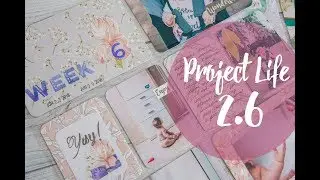 Project Life #2.6