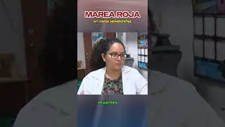 Las toxinas pueden representar un riesgo real para la salud humana y la vida marina. #marearoja
