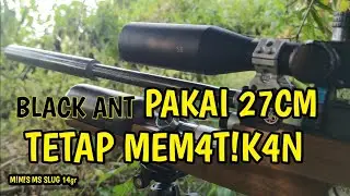 Berburu Ayam Hutan Hijau & puter geni   #YudisetiawanChannel004