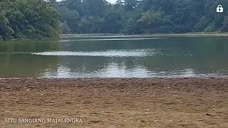 Ceramah..tumbuhan yang ada di bumi bisa bertasbih kepada allah