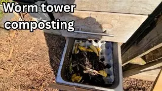 Worm tea tower build update (worm composting tea system) #gardening