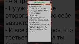 Молодожены обсуждают, сколько у них будет детей... 