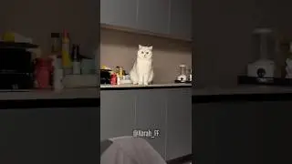 Porque puedo y me la pela