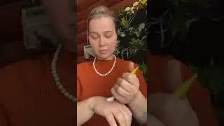 Как быстро взбодриться ?