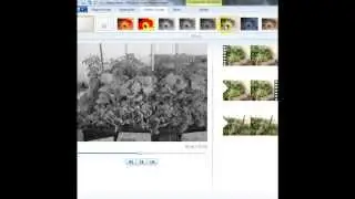Como editar vídeos e imagens no Windows Movie Maker