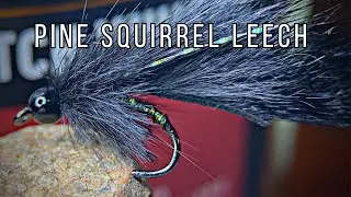 Fly Tying | Pine Squirrel Leech