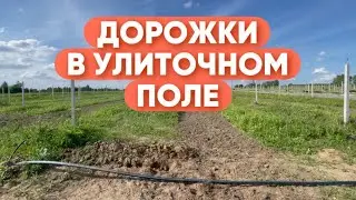ДОРОЖКИ В УЛИТОЧНОМ ПОЛЕ: нужны или нет?