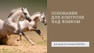 Иакова 3:1-12. Основания для контроля над языком | Андрей Вовк | Слово Истины