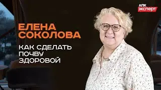 ЗДОРОВАЯ ПОЧВА-ЗДОРОВЫЙ УРОЖАЙ. ПЛОДОРОДИЕ ПОЧВЫ.  РАСТЕНИЕВОДСТВО. ЕЛЕНА СОКОЛОВА