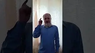 Две вороны и мои мысли