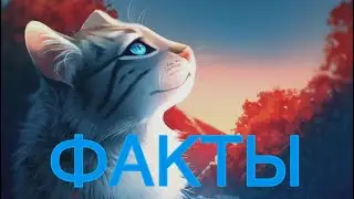 Факты о Серебрянке|«Коты-Воители»
