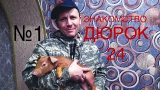 №1 Знакомство свиновода