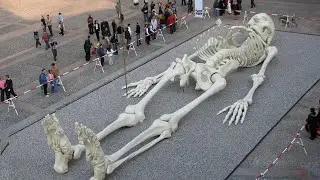 Mysteries of History / Titans, Giants, Colossi... Who were they? ALIENS or Ancient Inhabitants of...