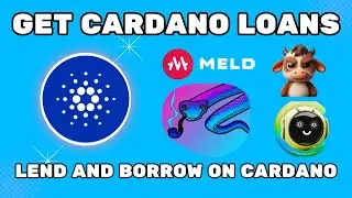 How To Get Loans On Cardano ADA DEFI | Lending and Borrowing With Ease