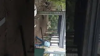 Garage Demolition