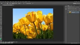 Adobe Photoshop CS6 Ders 23 - Blur Tool - Sharpen Tool  - Smudge Tool