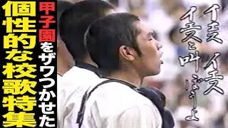 【2021 高校野球】甲子園をザワつかせたヤバすぎる校歌を紹介‼︎個性的な歌詞や曲調に驚愕‼︎＃1