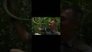 Змеиный Кусь за Нос