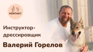Социализация щенка. Валерий Горелов