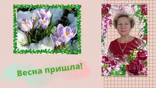 Vesna prishla