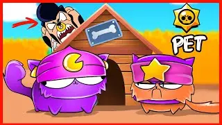 BRAWL STARS ANIMATION - PET BRAWLERS