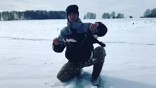 ОХОТА НА КОСАЧА.ДОБЫЛИ ТЕТЕРЕВА.